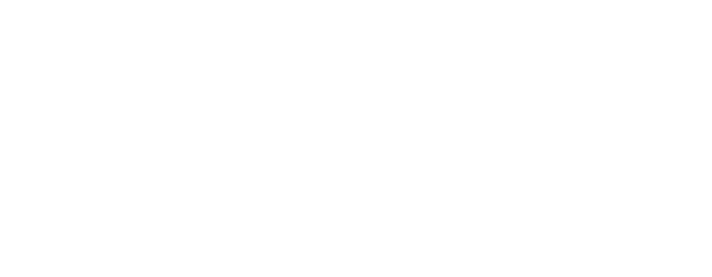 Panthera Group