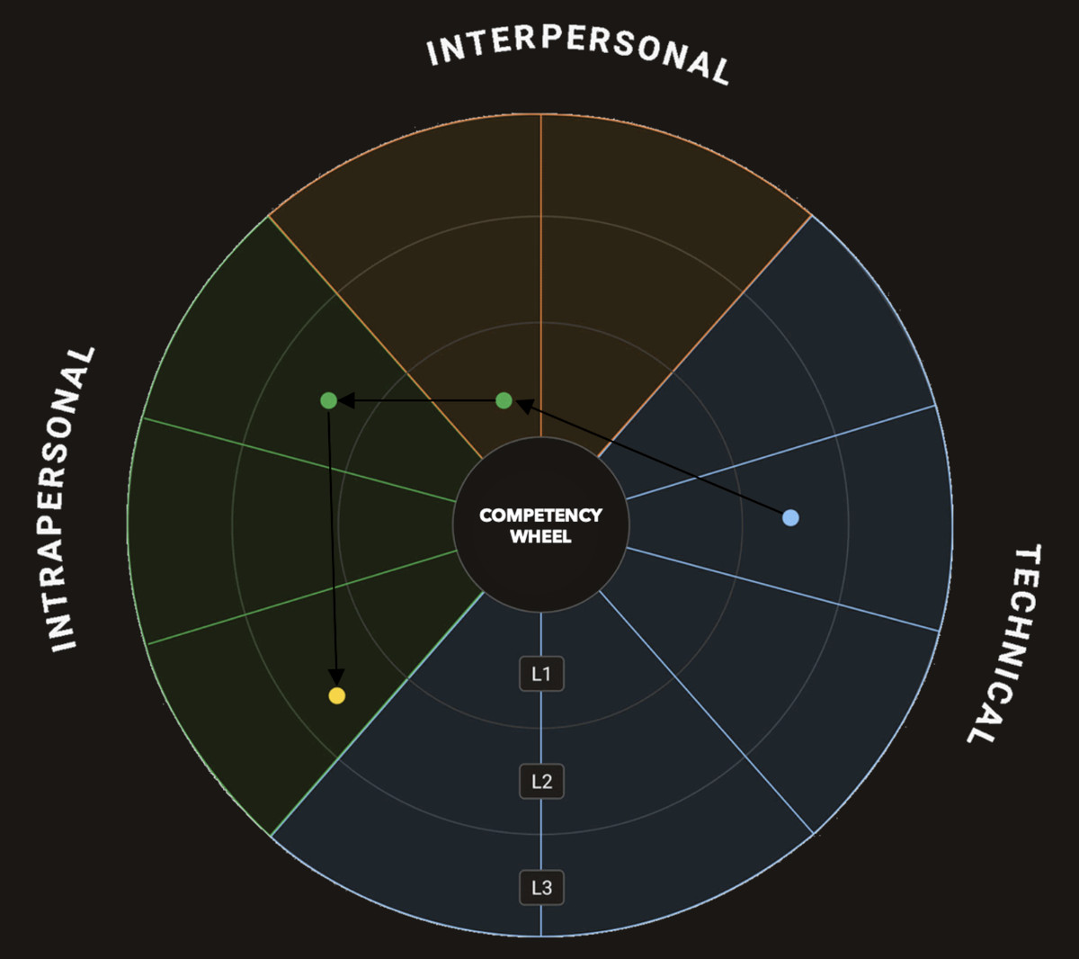 Panthera Competency Wheel: interpersonal, intrapersonal and technical competencies across three levels, with a personal development path drawn across them