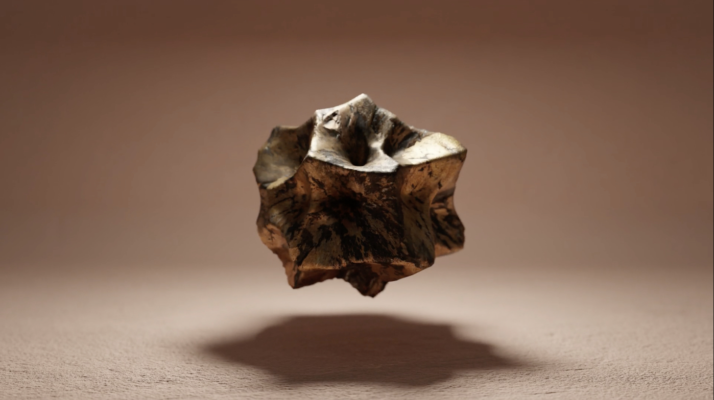 The Timeless Pursuit of Evidence